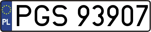 PGS93907