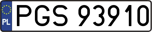 PGS93910