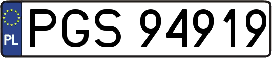 PGS94919