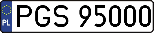 PGS95000