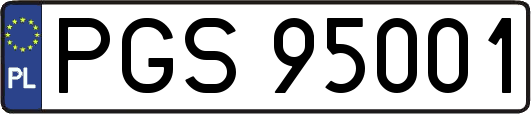 PGS95001