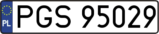 PGS95029