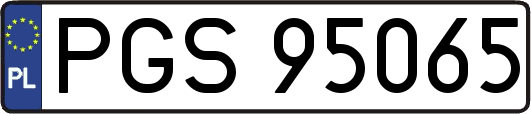 PGS95065