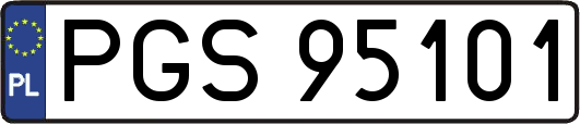 PGS95101