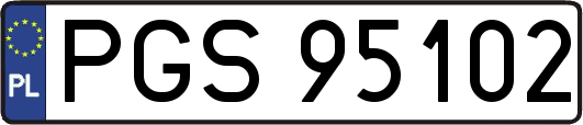 PGS95102