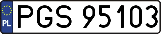 PGS95103