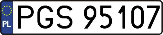 PGS95107