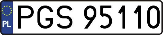 PGS95110