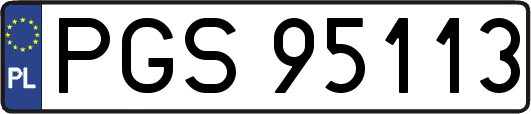 PGS95113
