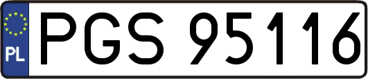 PGS95116