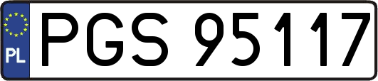 PGS95117