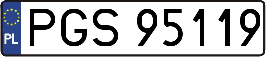 PGS95119