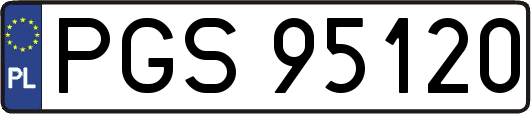 PGS95120