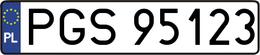 PGS95123