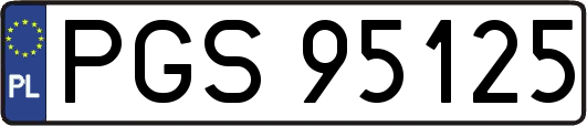 PGS95125