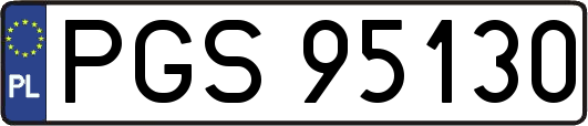 PGS95130