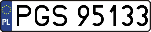 PGS95133