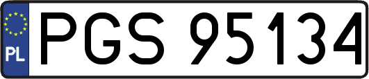 PGS95134