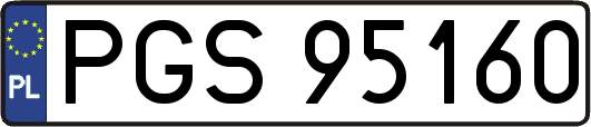PGS95160