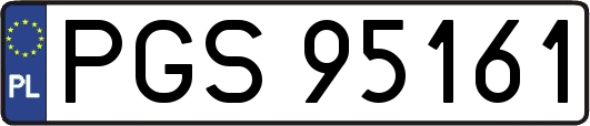 PGS95161