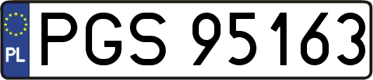 PGS95163