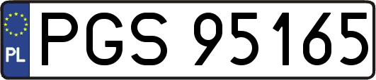 PGS95165
