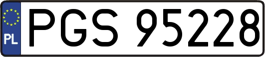 PGS95228