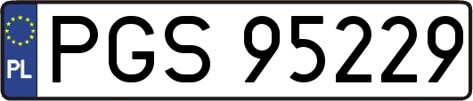 PGS95229