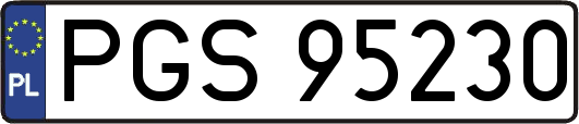 PGS95230
