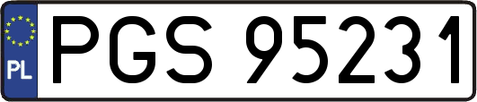 PGS95231