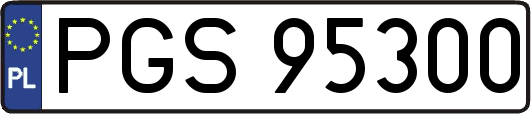 PGS95300