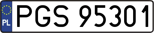 PGS95301