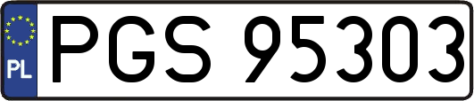 PGS95303