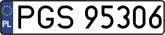 PGS95306