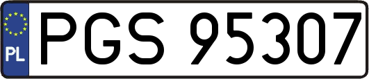 PGS95307