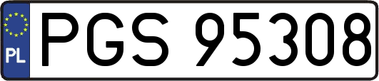 PGS95308