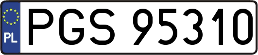 PGS95310