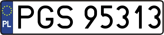 PGS95313