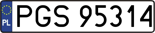 PGS95314