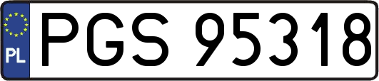 PGS95318