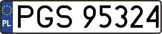 PGS95324