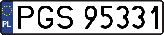 PGS95331