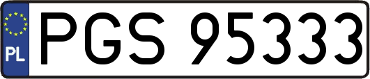 PGS95333