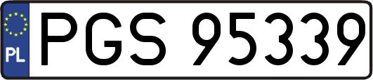PGS95339