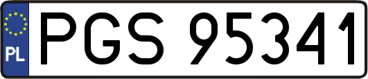 PGS95341