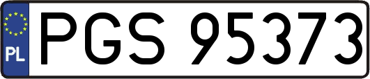 PGS95373