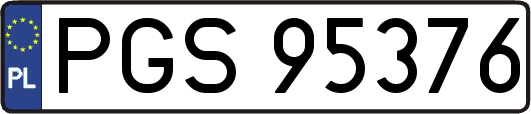 PGS95376