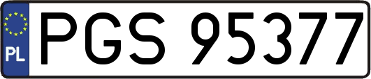 PGS95377