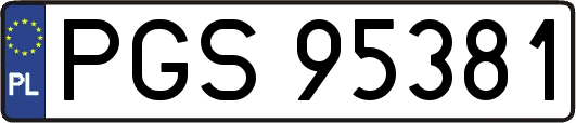 PGS95381