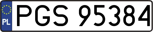 PGS95384